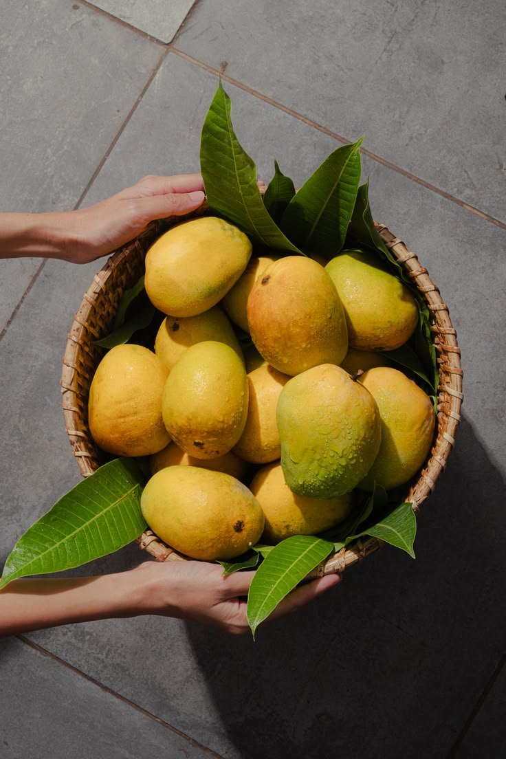 mangoes